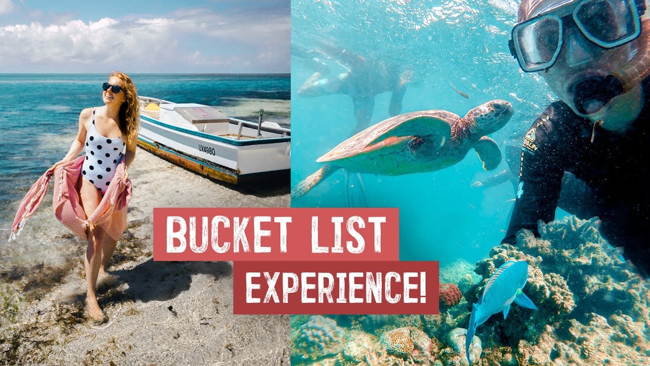 FINALLY Visiting The GREAT BARRIER REEF! You HAVE to See This in Australia (Sharks, Turtles & More)