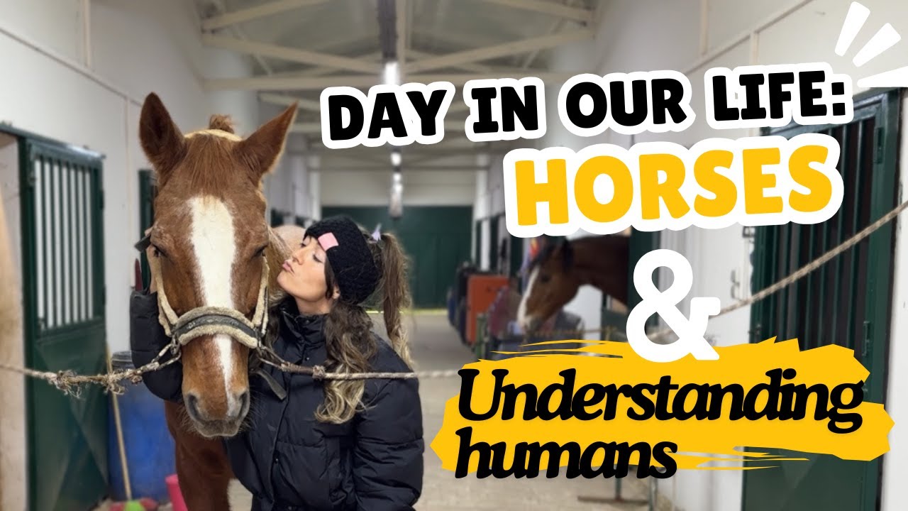 Vlog: A Day at the Stable and Forest 🐴 Understanding Humans Through Horses