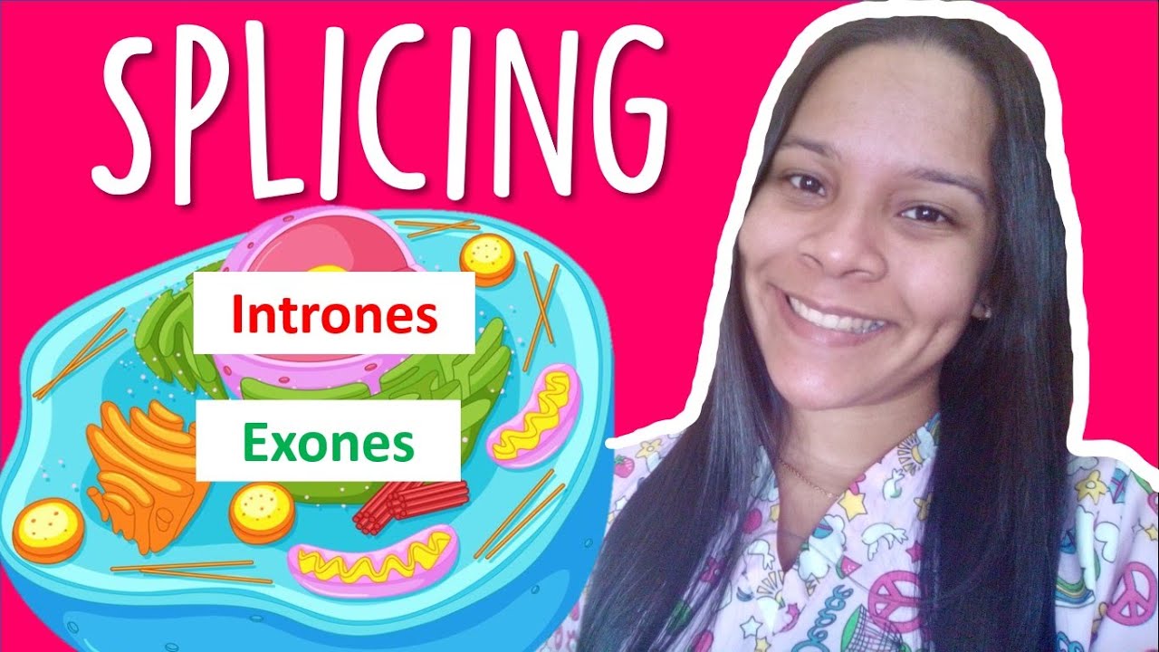 💥👉Splicing  alternativo del ARN mensajero, corte y empalme + INTRONES Y EXONES