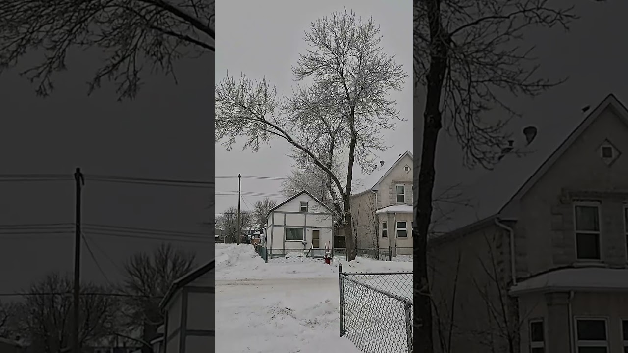 Snow Walk after Snowstorm in Winnipeg 