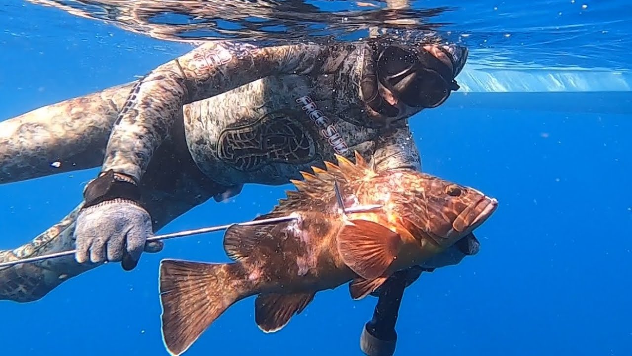Spearfishing Cyprus White Grouper Dusky Grouper Zıpkınla Balık Avı Kıbrıs Orfoz Lahos 