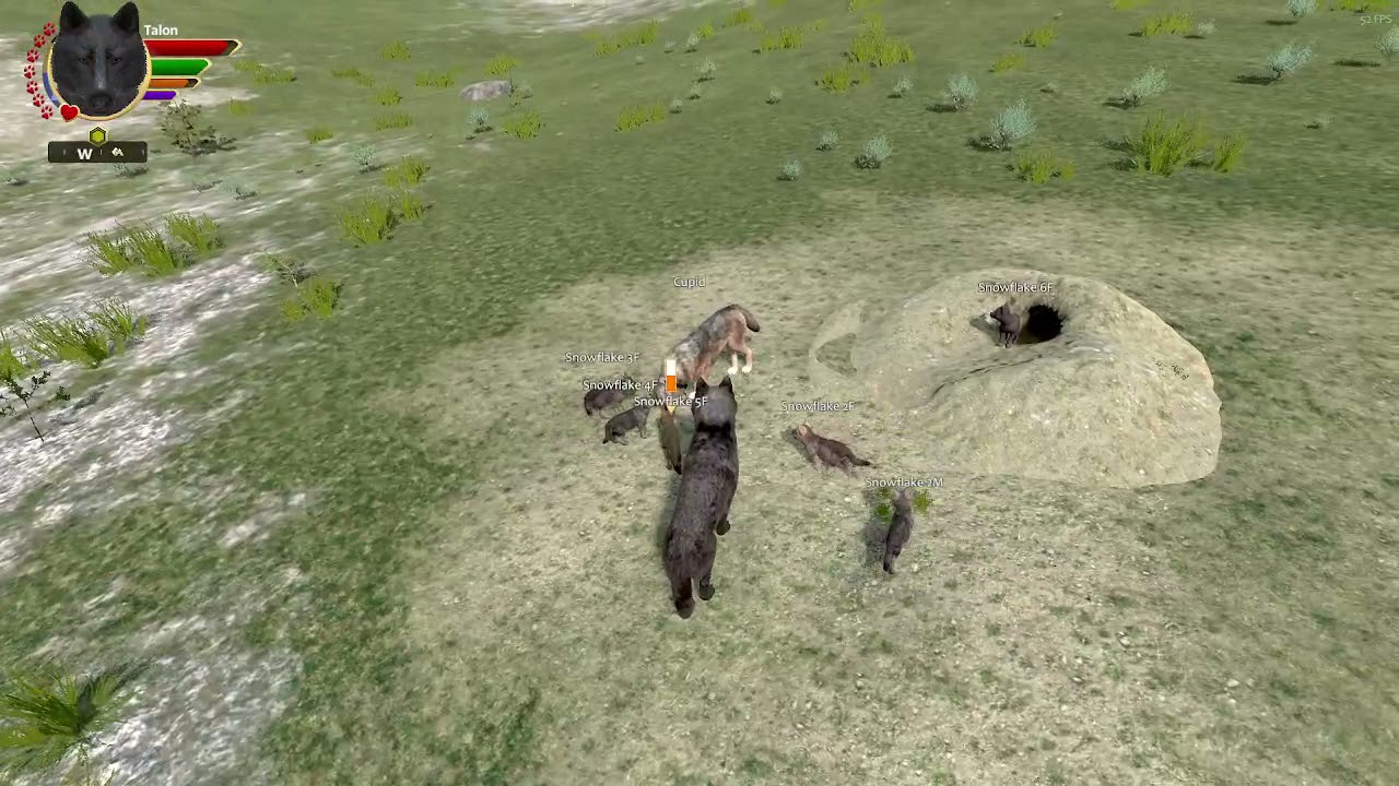 Talon starts his Quest, while Aqua continues his! WolfQuest 3: Tag Team Duo: {Episode 1}