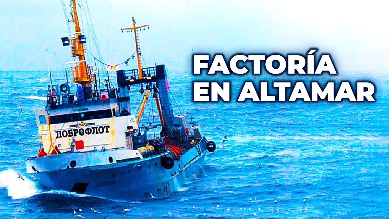 Entre Redes y Altamar: C&oacute;mo Funciona una Factor&iacute;a Flotante de Pescado - Documental