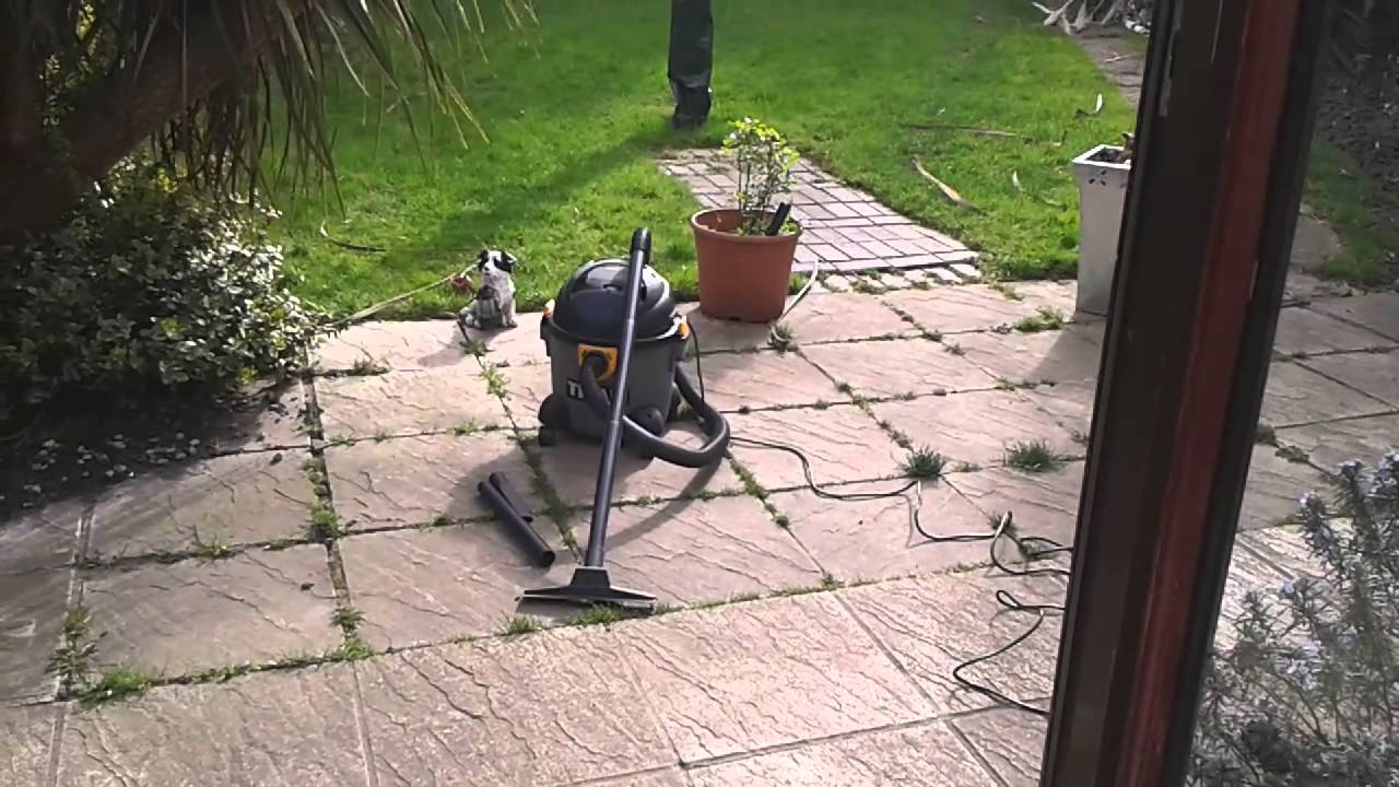 titan wet/dry vac review