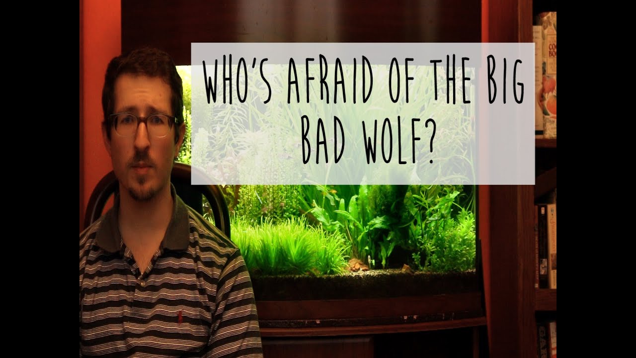 Is Tom Barr wrong?? Plant Growth, Fertilization, and Liebig's Law of the Minimum.