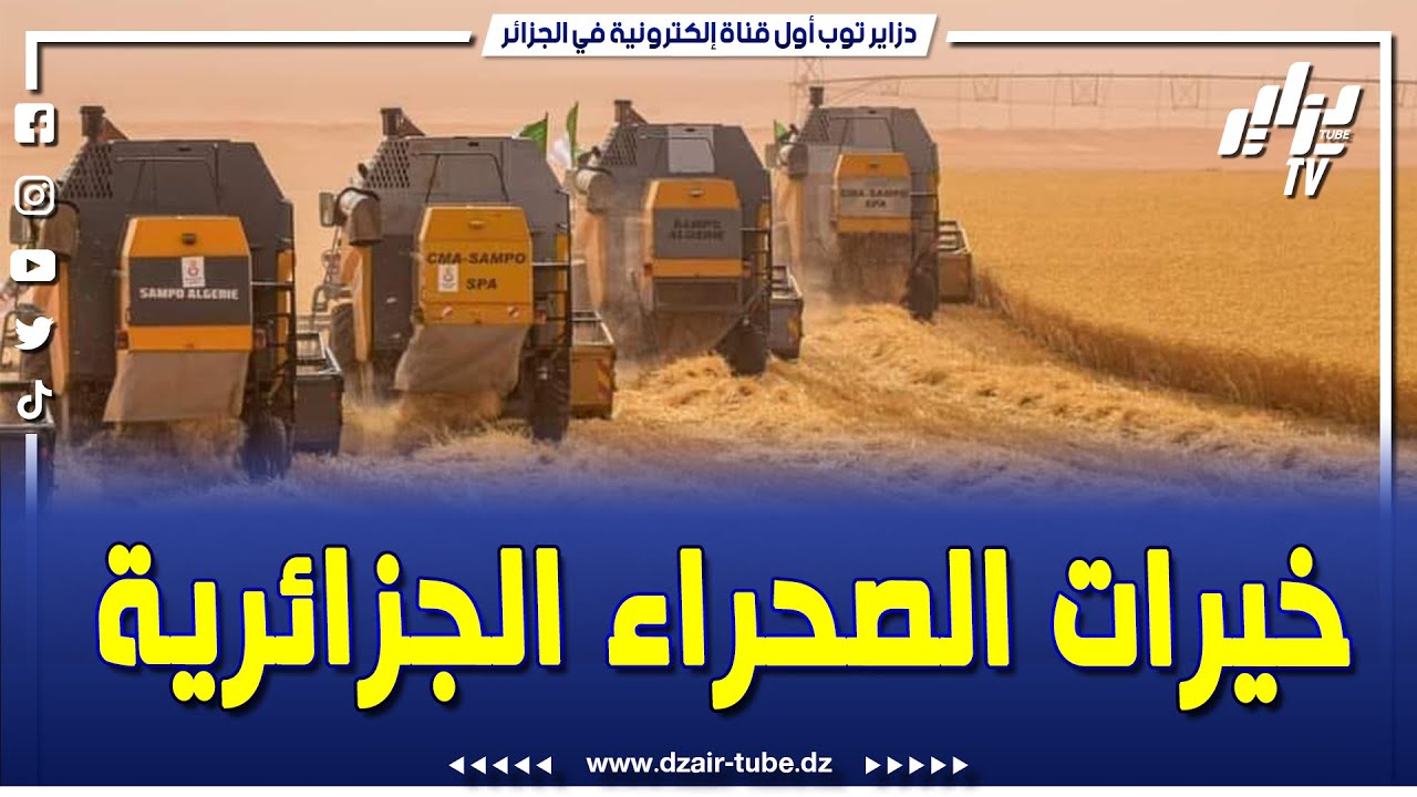شاهدوا..خيرات الصحراء الجزائرية..هذه هي الأسباب التي جعلت الفلاحة بقوة هذا الموسم..