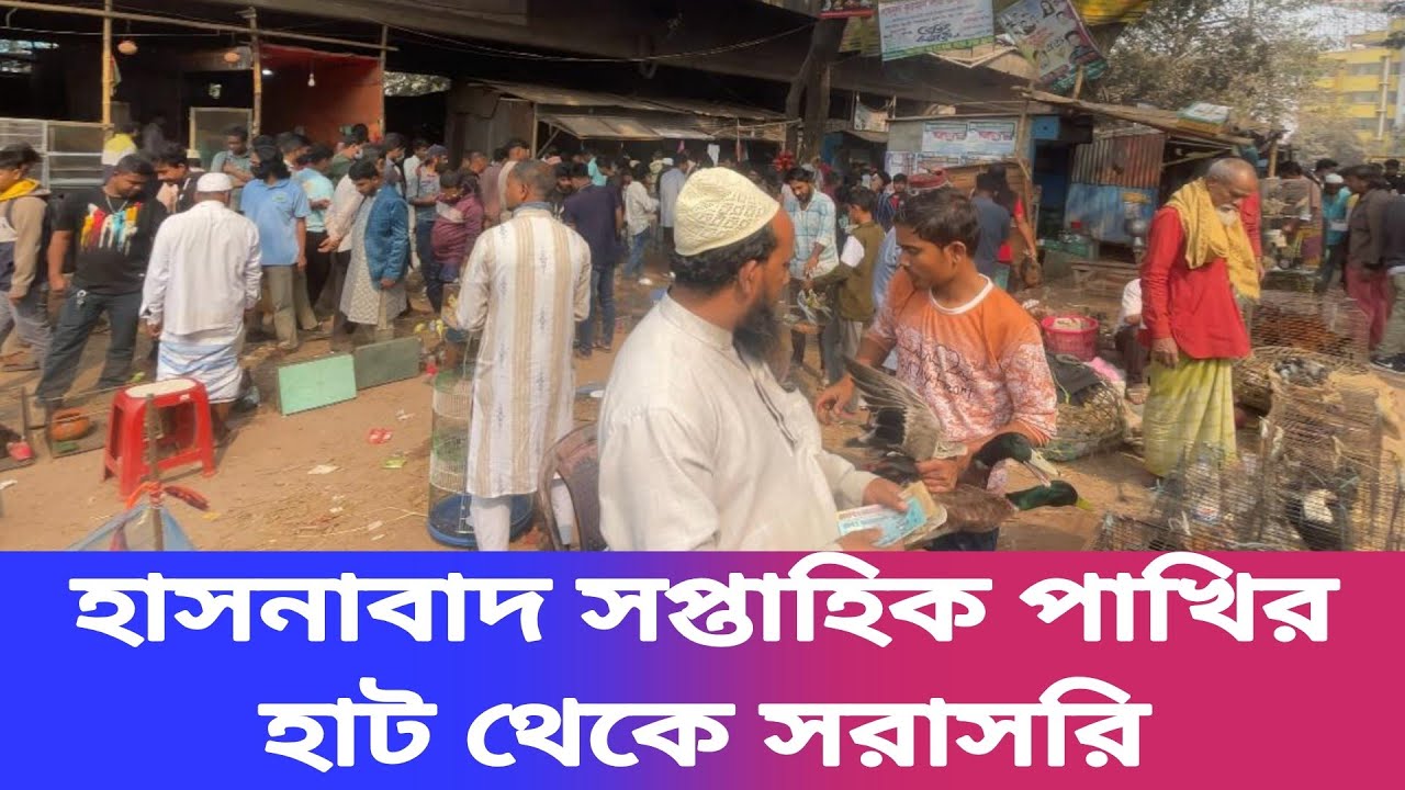 হাসনাবাদ সপ্তাহিক পাখির হাট থেকে সরাসরি