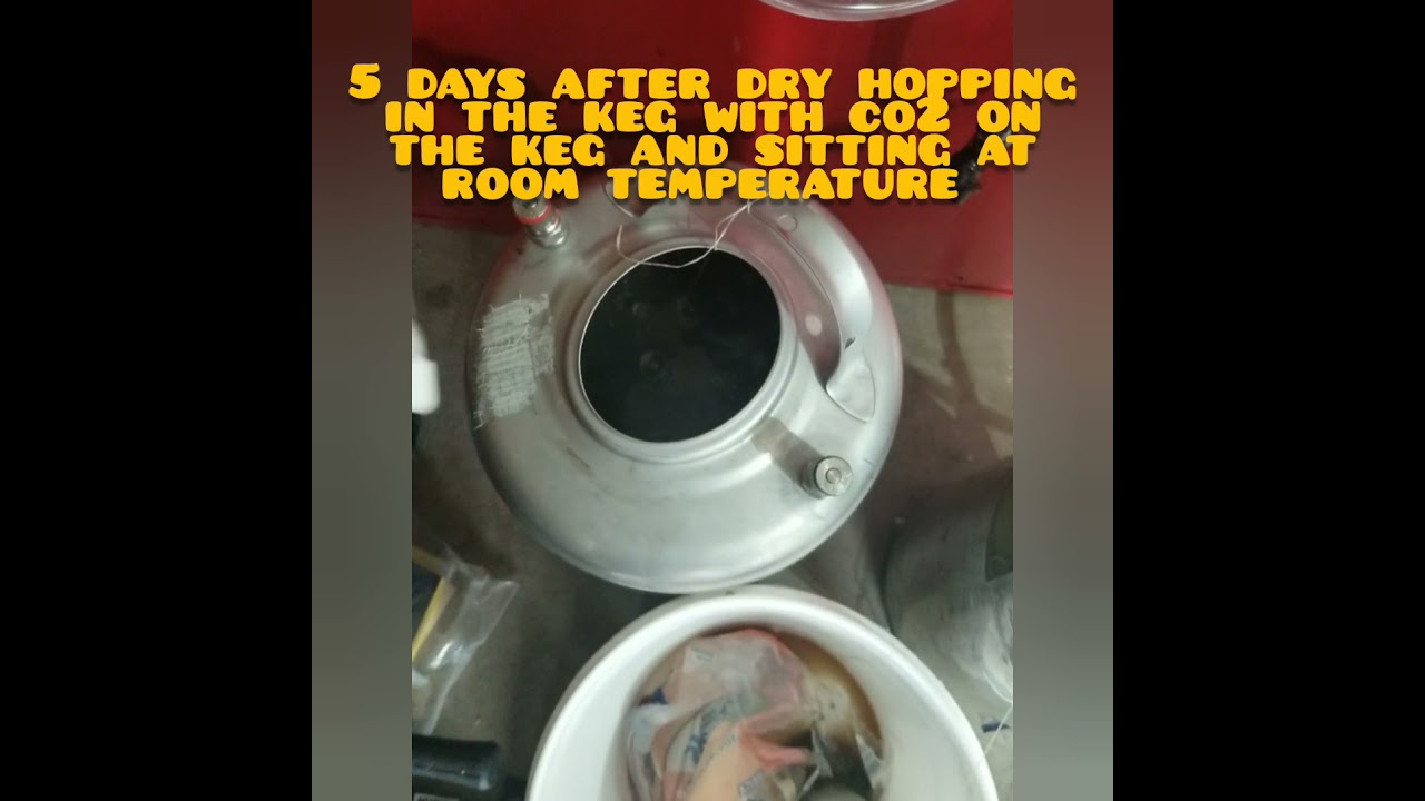 Dry hopping beer in the keg
