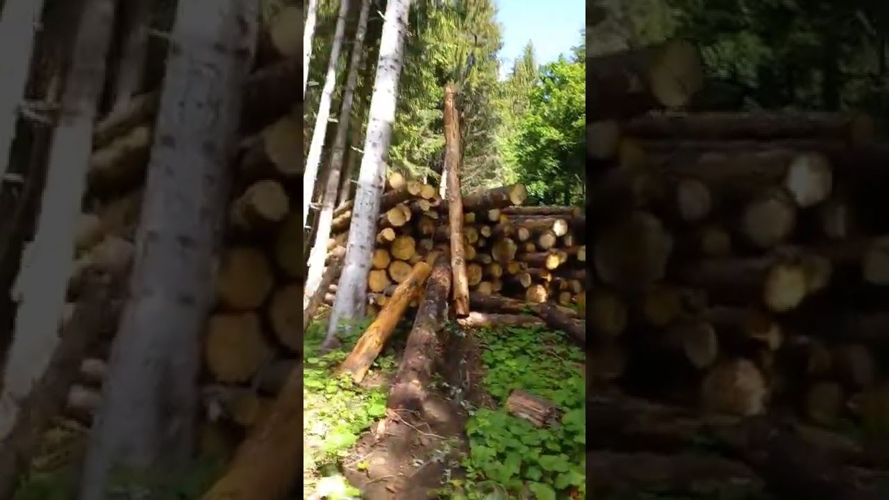 Teleferica esbosco artigianale