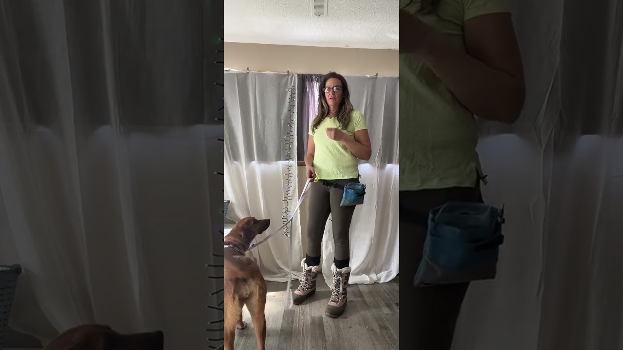 Clicker training, building new neuroplasticity in dogs, dog training. 