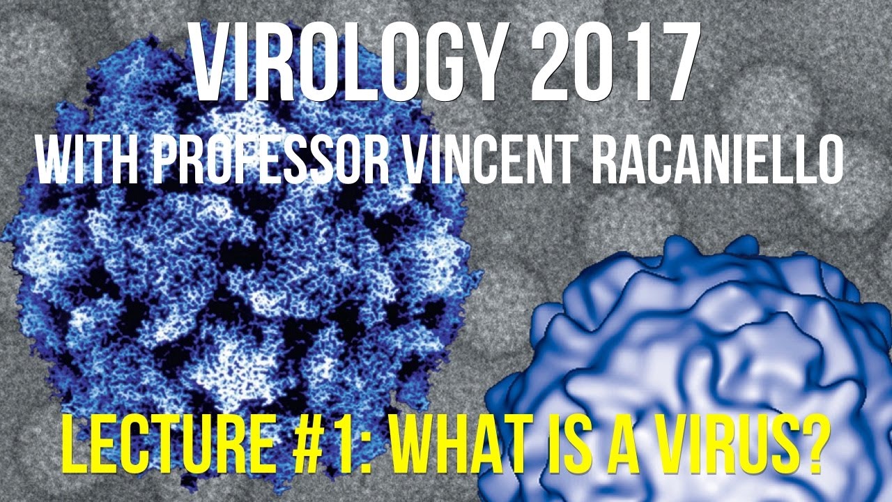 Virology Lectures 2017 #1: What is a Virus?
