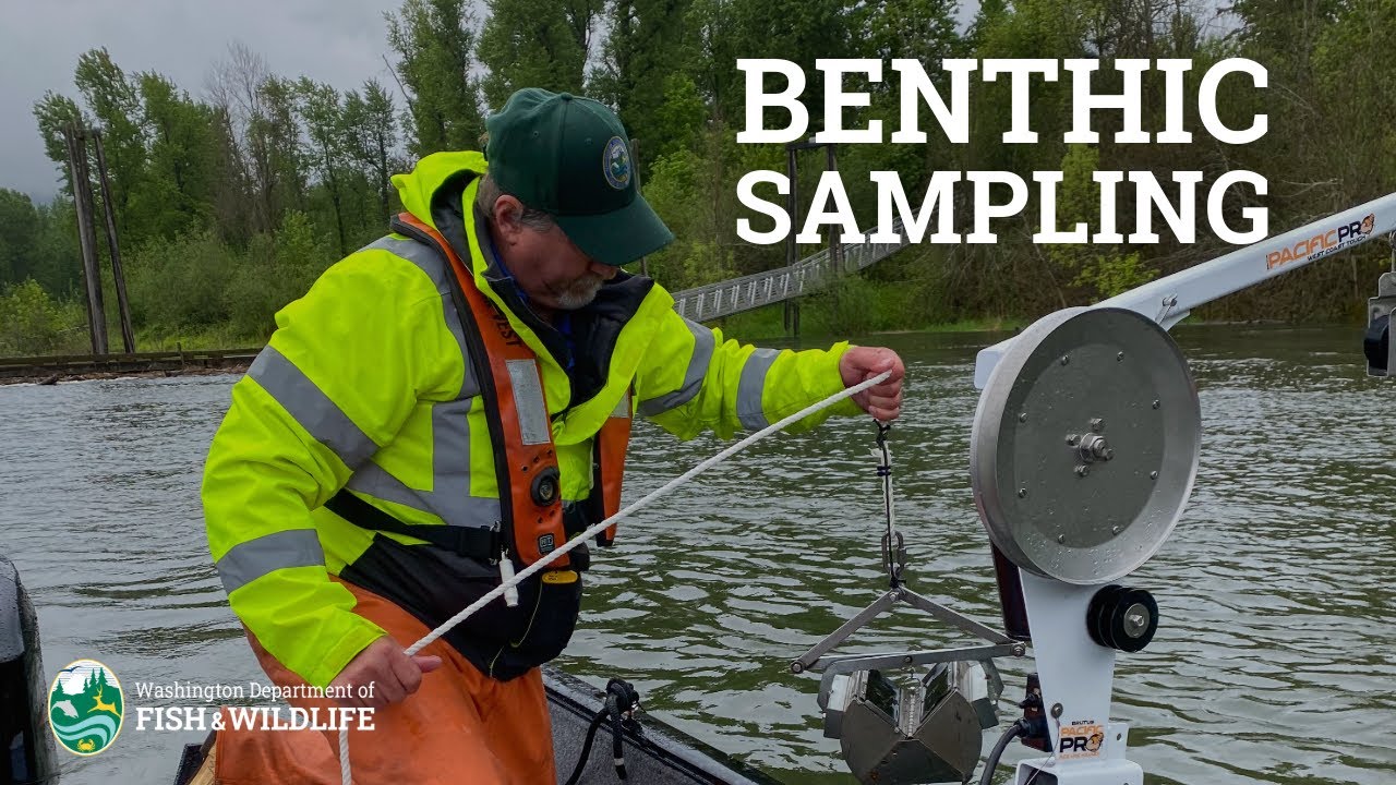 Benthic sampling with ponar grab sampler | Quagga and zebra mussel monitoring sampling methods