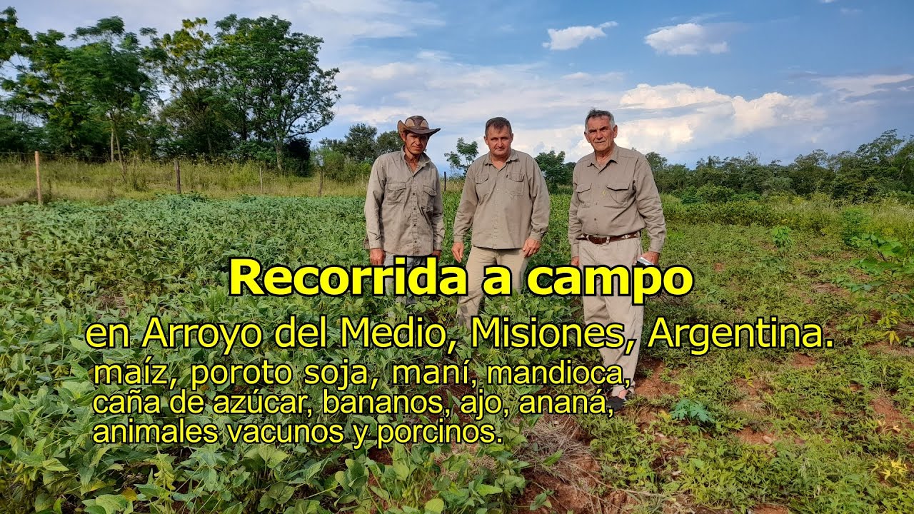 Producción Agrícola | Arroyo del Medio, Provincia de Misiones, Argentina.