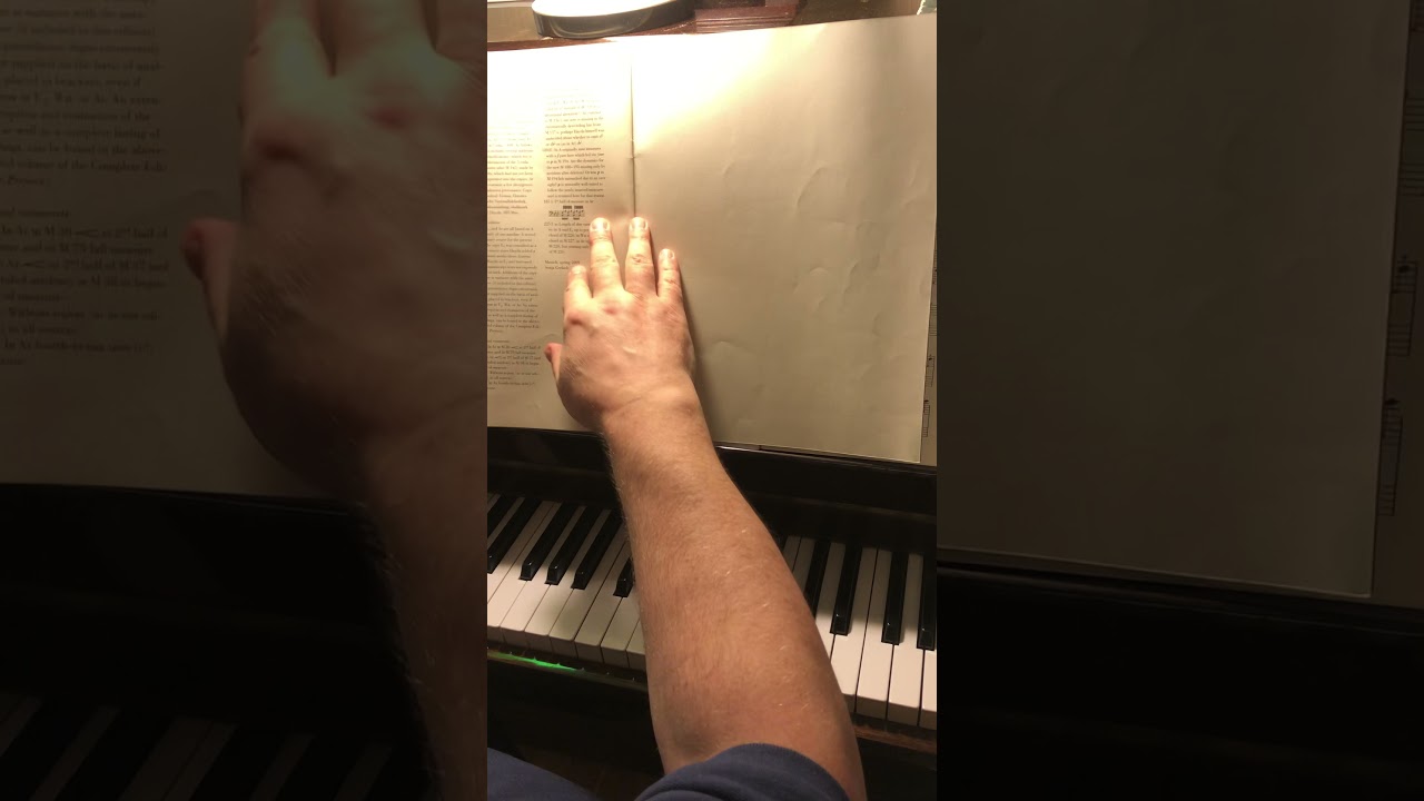 3 Haydn Variations f minor(Sonata) Hob.XVII:6 Гайдн Вариации фа минор Пульс, артикуляция,полифония 3