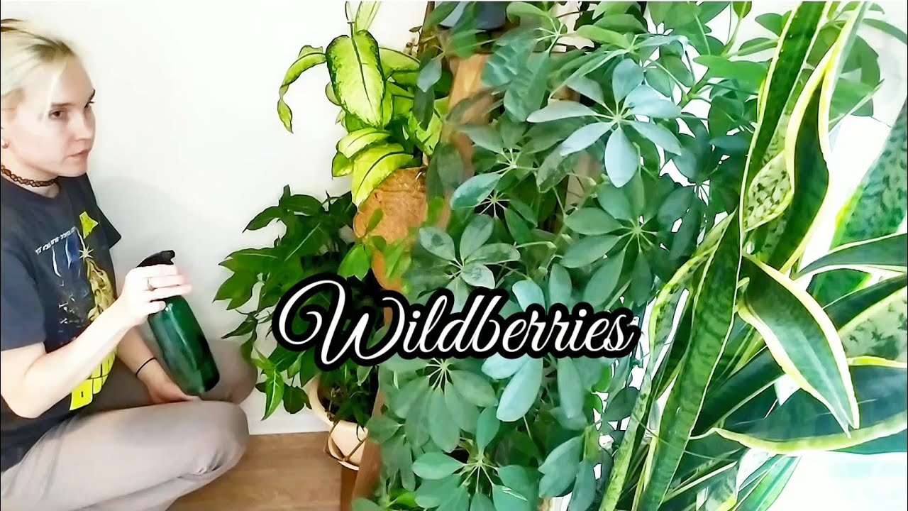 ЛУЧШИЕ покупки для дома с WILDBERRIES | Готовлю СДОБНЫЙ ПИРОГ | Обработка  старых деревянных изделий