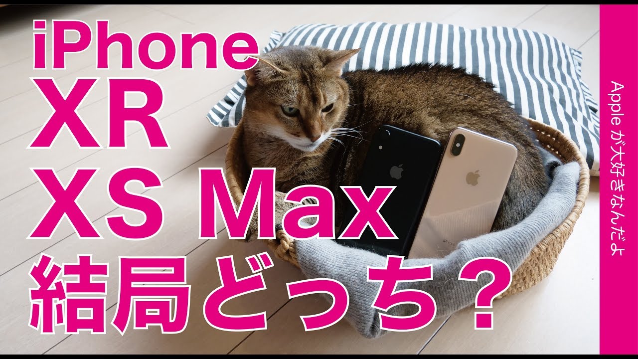 iPhone XS MaxとXR両方使って1ヶ月半・結局どっちを選んだのか？私はコレ！
