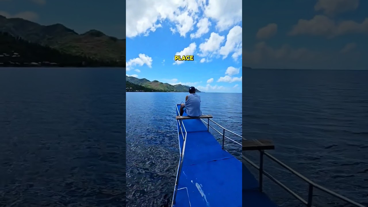 Avoid this tourist trap! 📍 Oslob, Cebu Philippines. go to Southern Leyte or Exmouth WA instead.