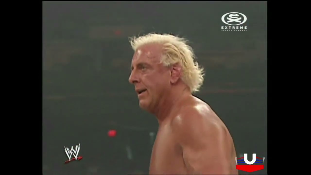 WWE Raw 31.12.2007: Triple H vs. Ric Flair - PL