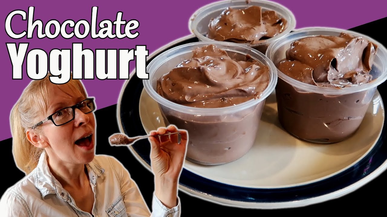 Chocolate Yoghurt Recipe / How to Make Chocolate Yoghurt