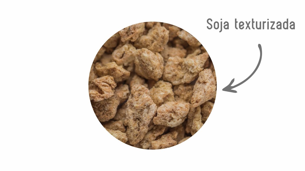 Técnicas de cocina - Soja texturizada