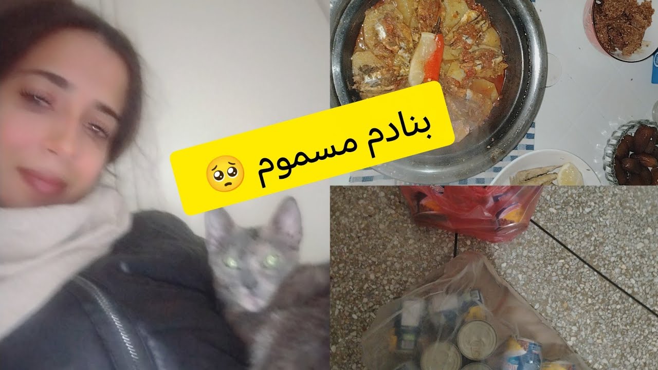 صافي والله مانبقا نسكت غادي نجاوب على راسي #cat #اكسبلور #قطط #اكلتك 