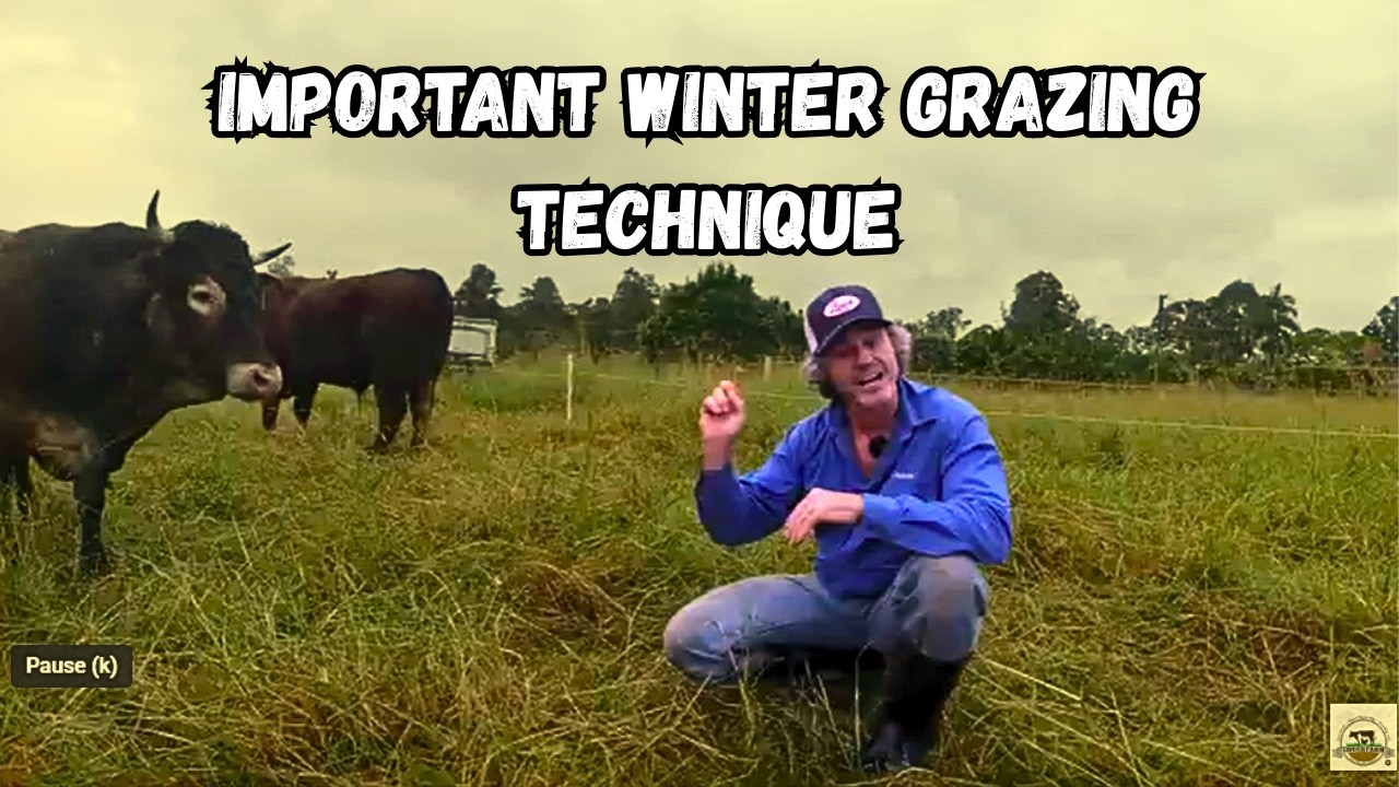 IMPORTANCE of Pushing Livestock HARD over Winter...!!