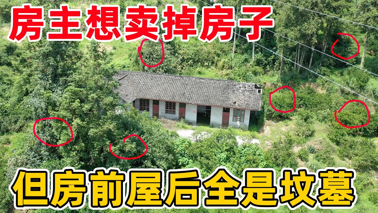 房前屋后全是父母，但房主却说是风水宝地，想把房子卖给有缘人