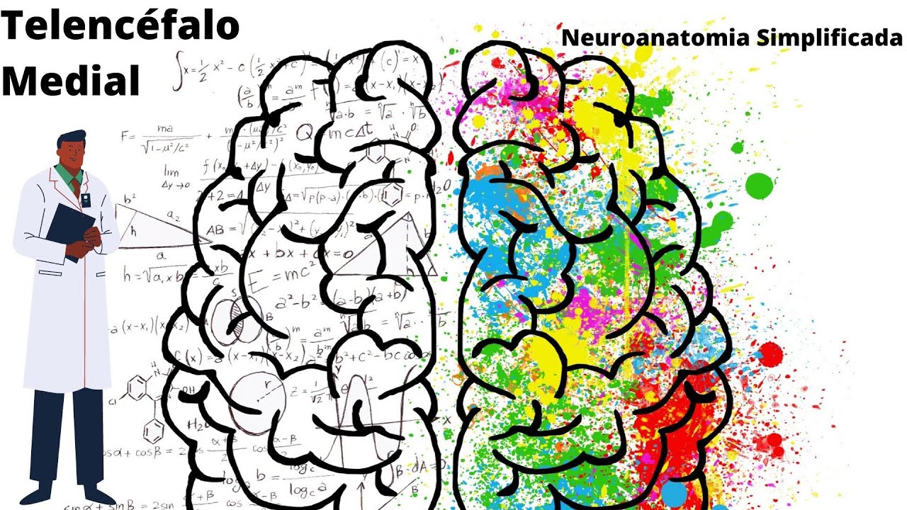 Sulcos e Giros do Telencéfalo (Medial) - Neuroanatomia Simplificada - Ângelo Machado