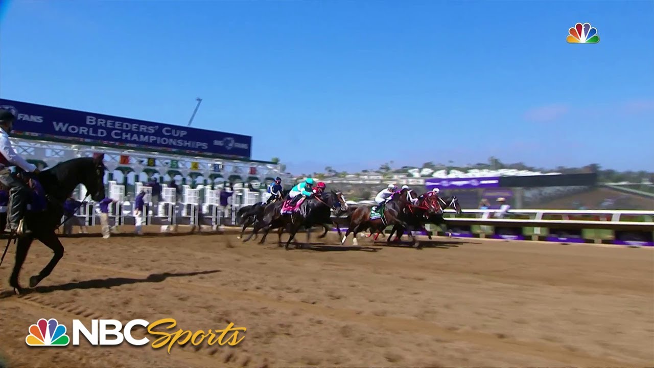 Breeders' Cup 2021: Dirt Mile (FULL RACE) | NBC Sports