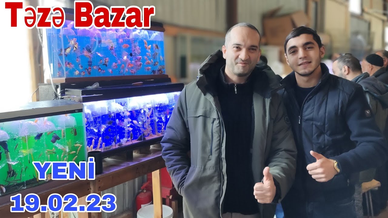 Balıq Bazarı (Satışı) 19.02.23 Yeni Çəkiliş 👍
