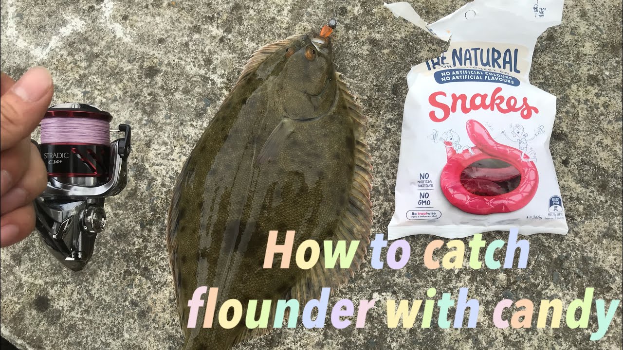 How to catch flounder with candy in Auckland, NZ