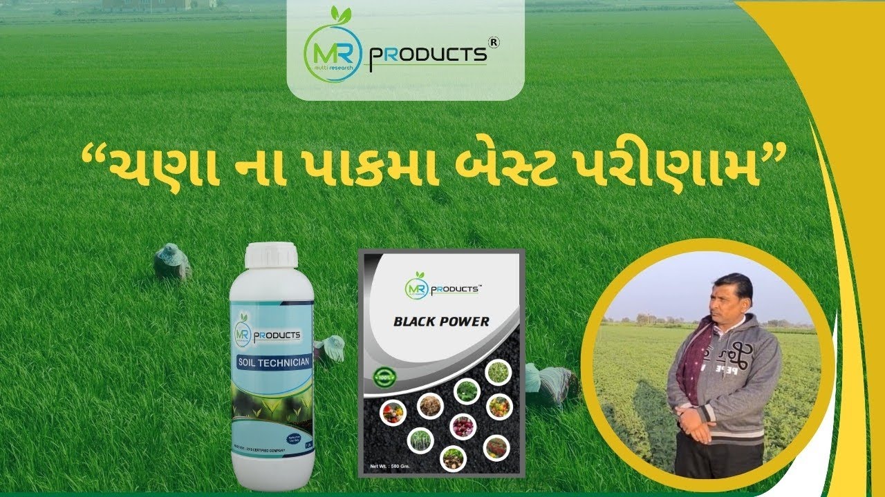 ચણા ના પાકમાં ઝાકઝમાળ પરિણામ 🌱🔥