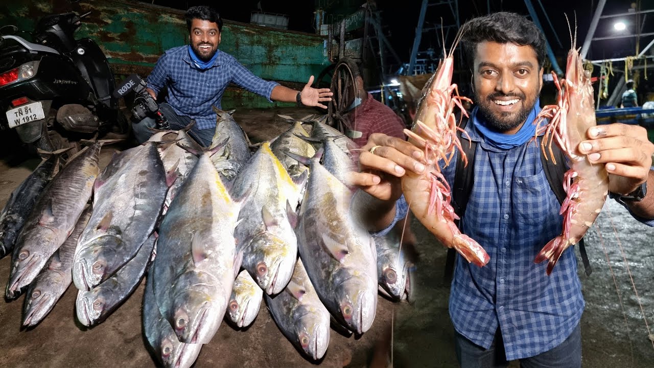 BIG FISHES FOR SALE !! 5am Auction - காசிமேடு மீன் மார்க்கெட் Chennai