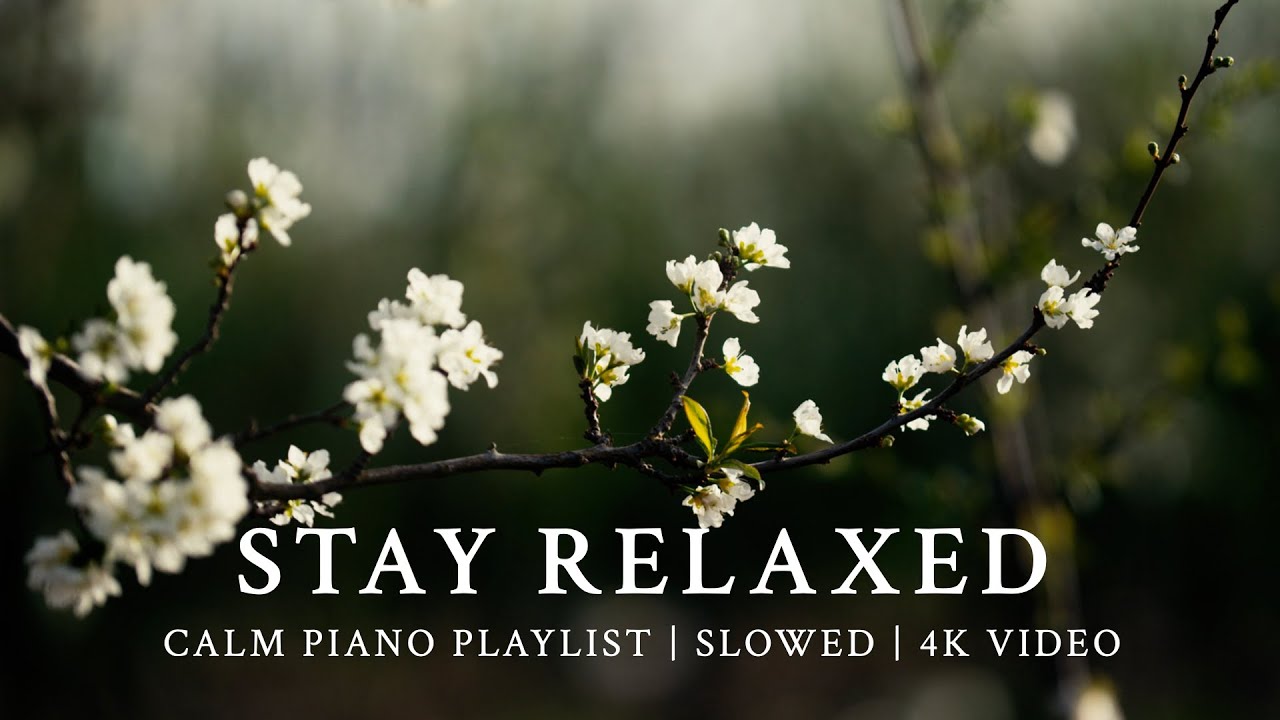 Playlist | Calm Piano to Wake Spring's Splendor | Slowed Ver.