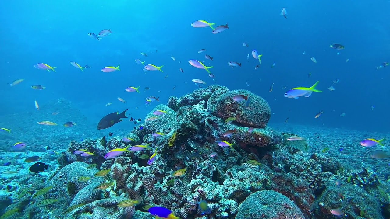 Le cap La Houssaye