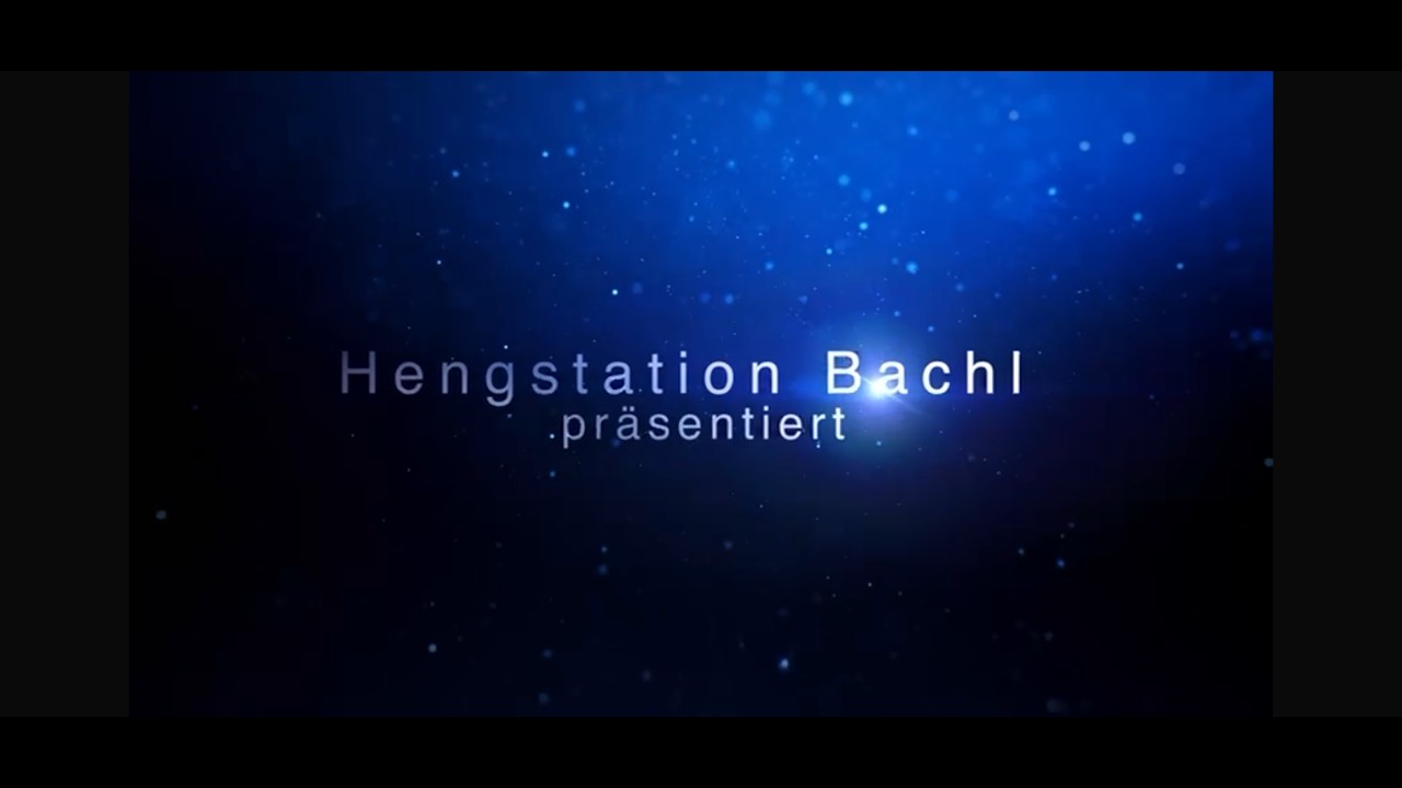 B - Hengstkollektion 2026_Hengststation Bachl