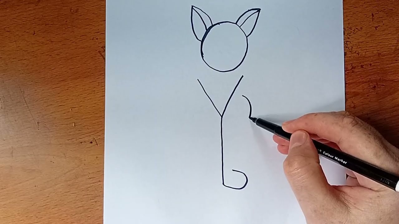 Cat Drawing from Y  step by step | How to draw Cat step by step for Beginners and Kids |