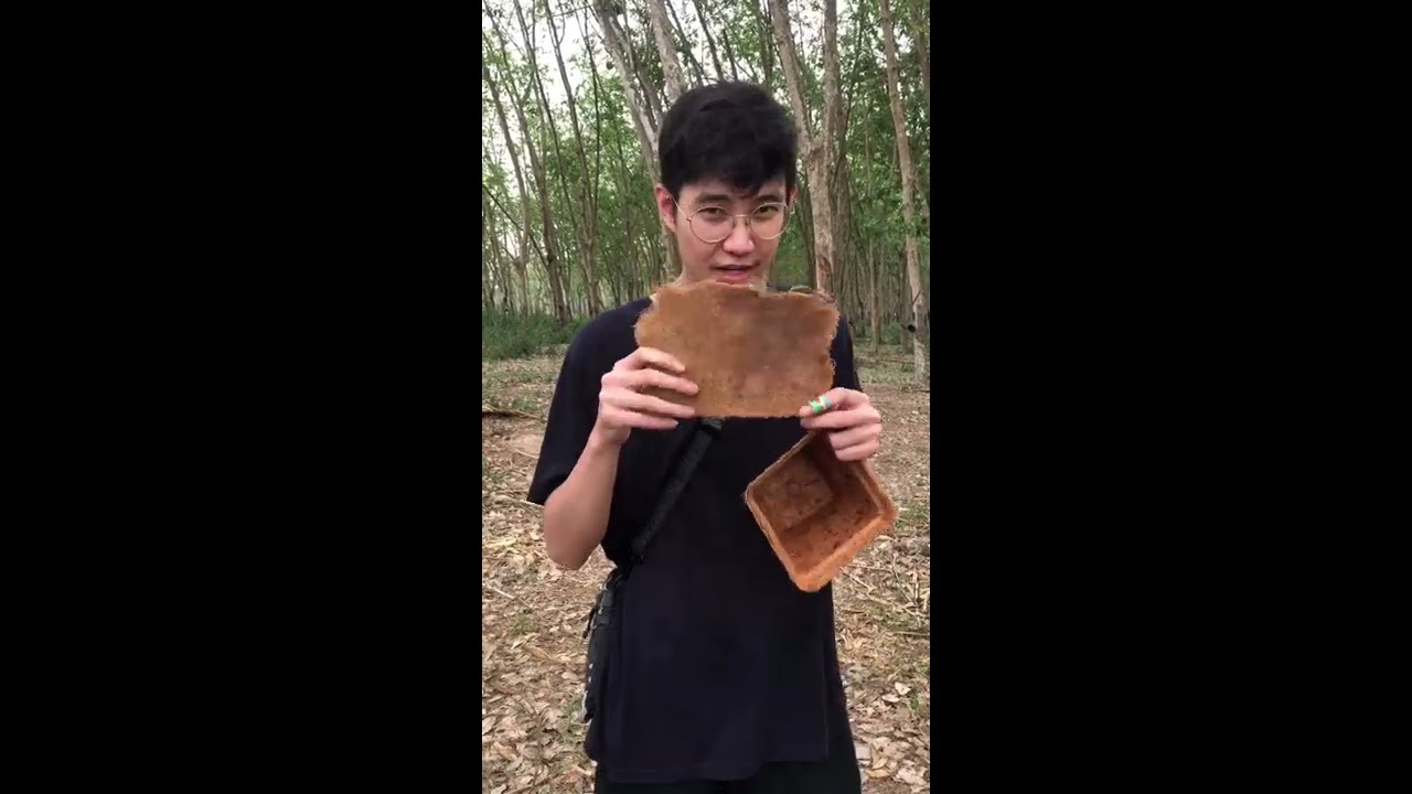 COCONUT HUSK POT
