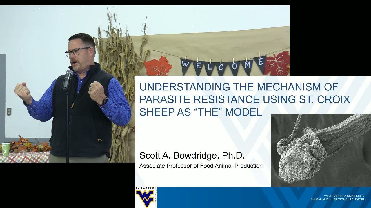 Understanding the Mechanism of Parasite Resistance Using St. Croix Sheep as THE Model: Dr. Bowdridge