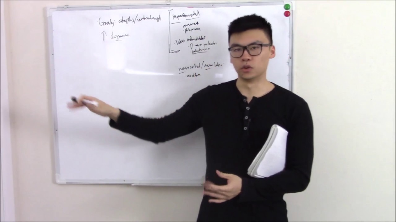 USMLE Psychiatry 8 Schizophrenia and Psychosis with Pharmacology