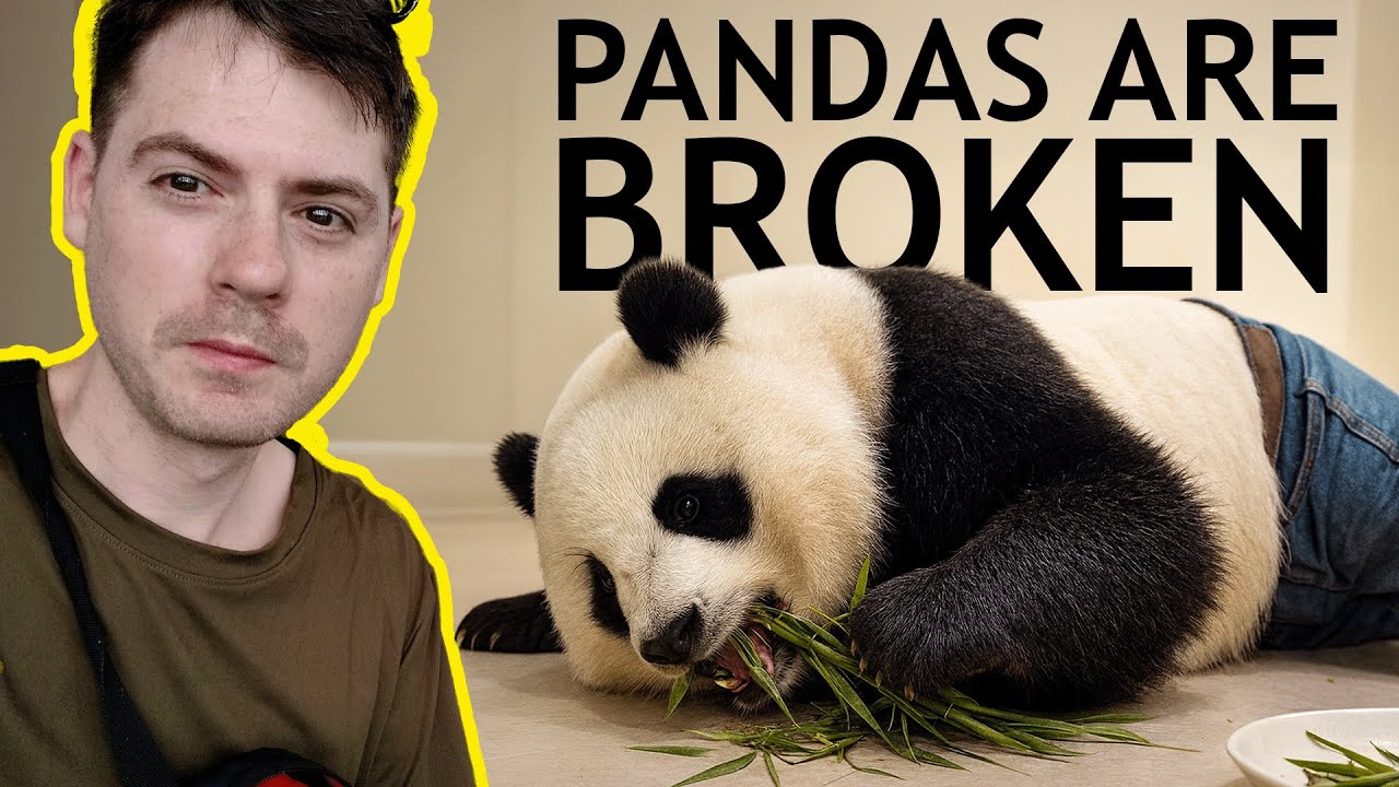 Chengdu Pandas: A Species Being Saved Against Its Will 🐼 🇨🇳