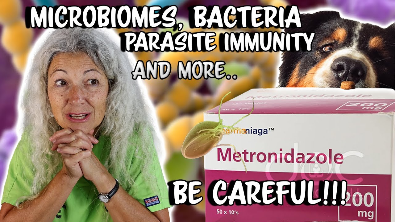 Metronidazole Overuse: Dangerous Path to Antibiotic-Resistant Bacteria