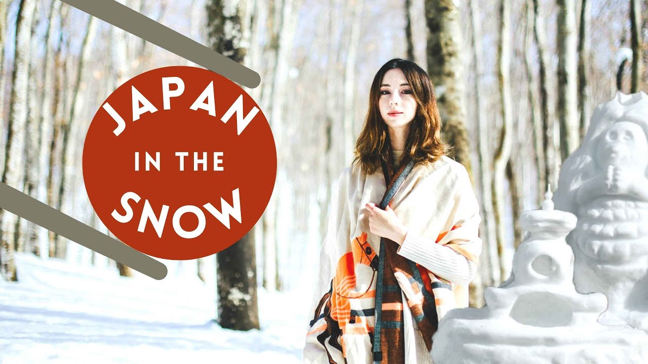 ☃️ Niigata Japan in the snow. ❄️