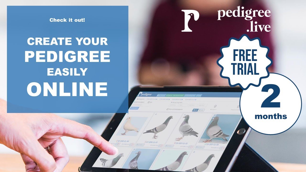 PEDIGREE ONLINE APPLICATION FOR RACING PIGEONS