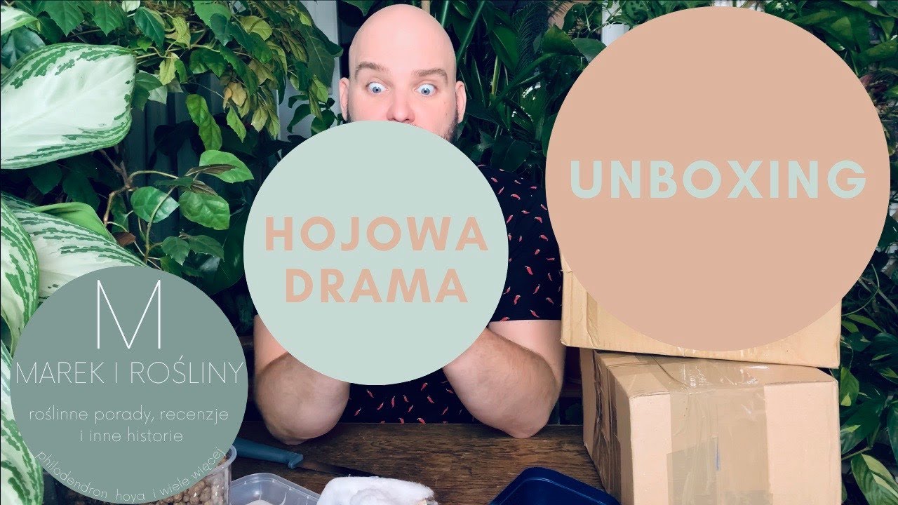 Unboxing 3 nowych roślin i hojowa drama