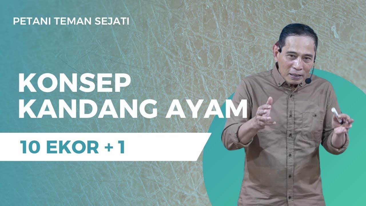 konsep Kandang Ayam 10 Ekor+1 #bayudiningrat
