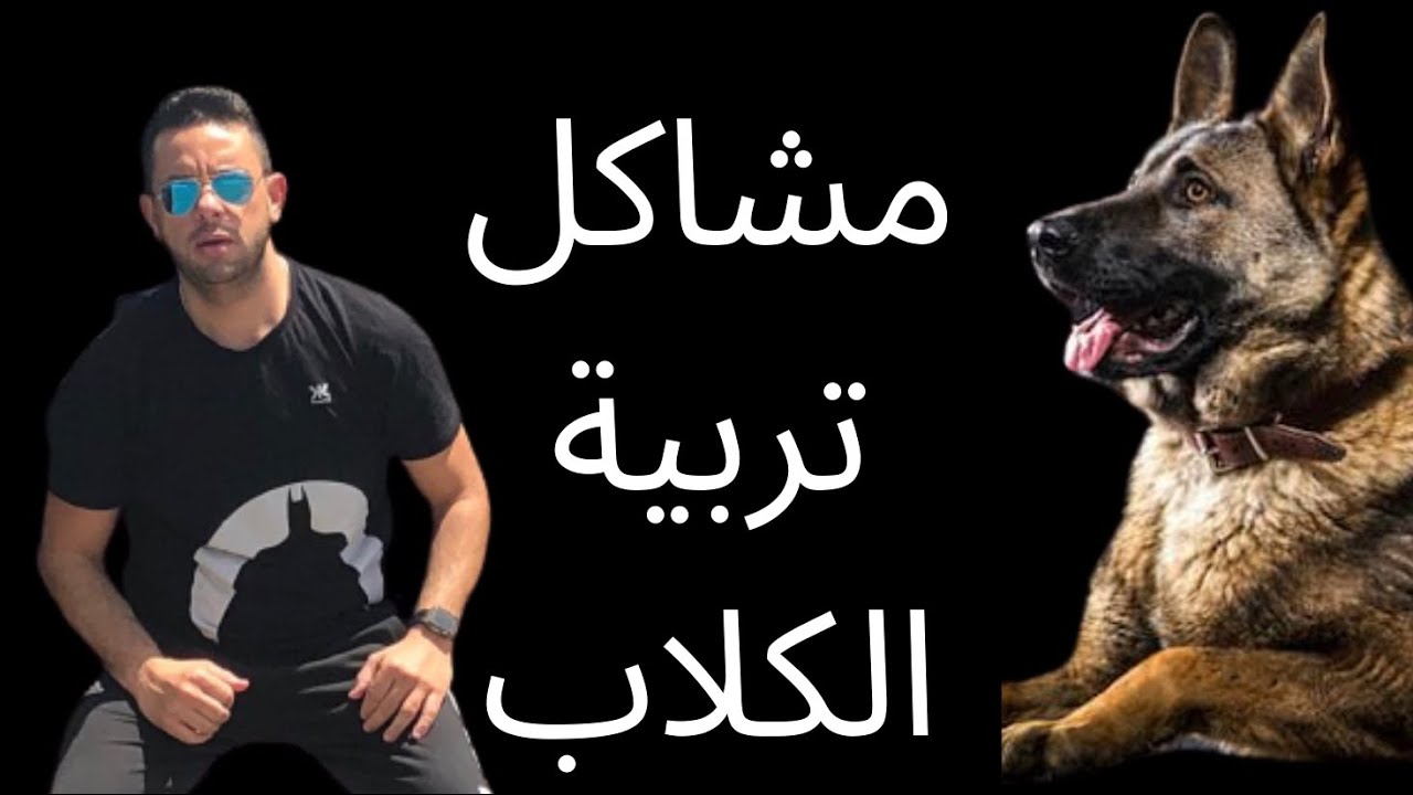 مشكلة تربية كلب فى المنزل