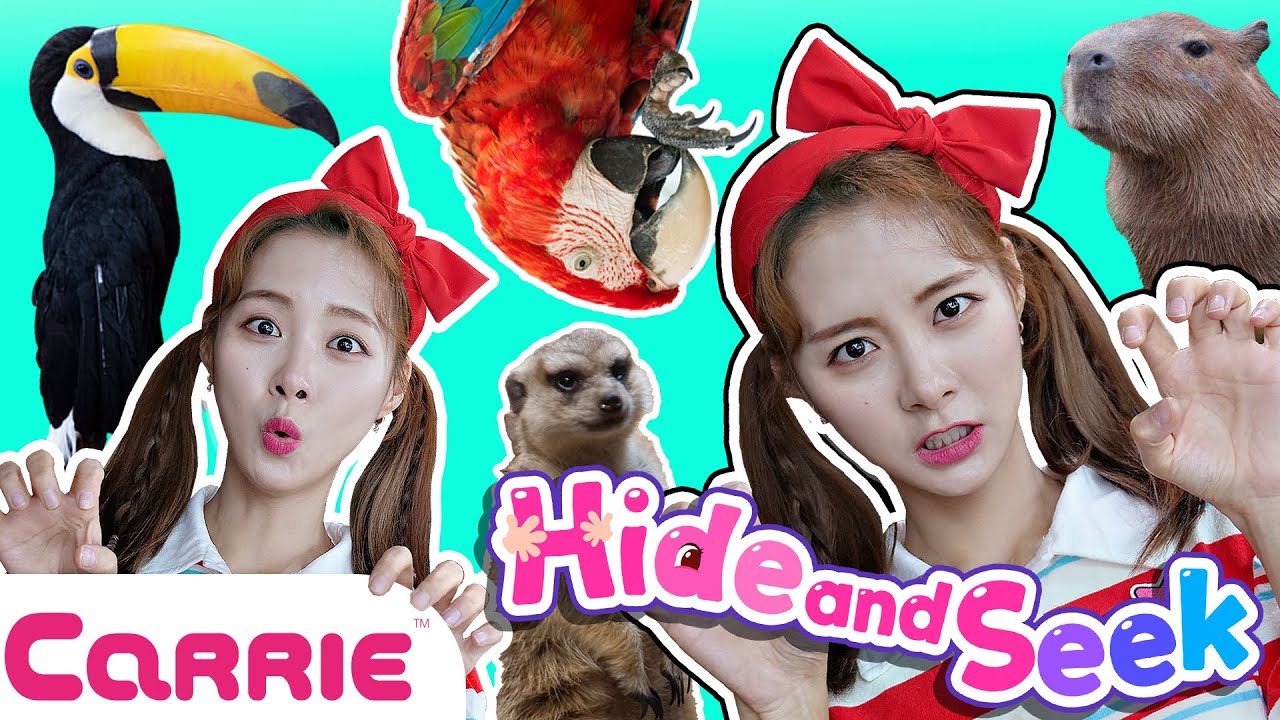 귀여운 동물친구들과 사진찍기 놀이| 숨바꼭질 Hide and Seek