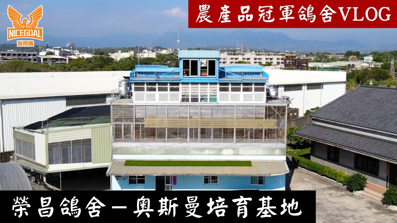 【農產品冠軍鴿舍vlog】榮昌鴿舍－奧斯曼培育基地｜耐翔購