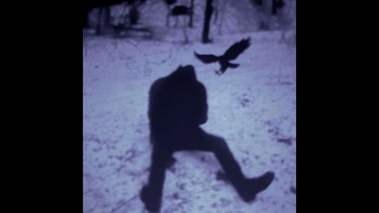 (free) thxsomch + molchat doma + post punk type beat - 